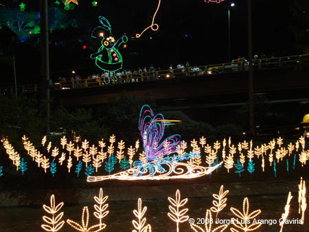 DSC05402