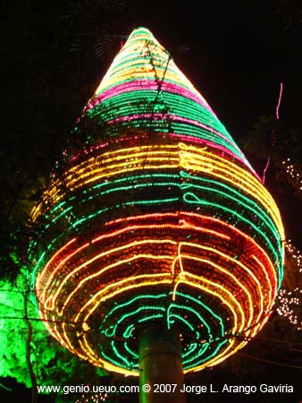 DSC04463